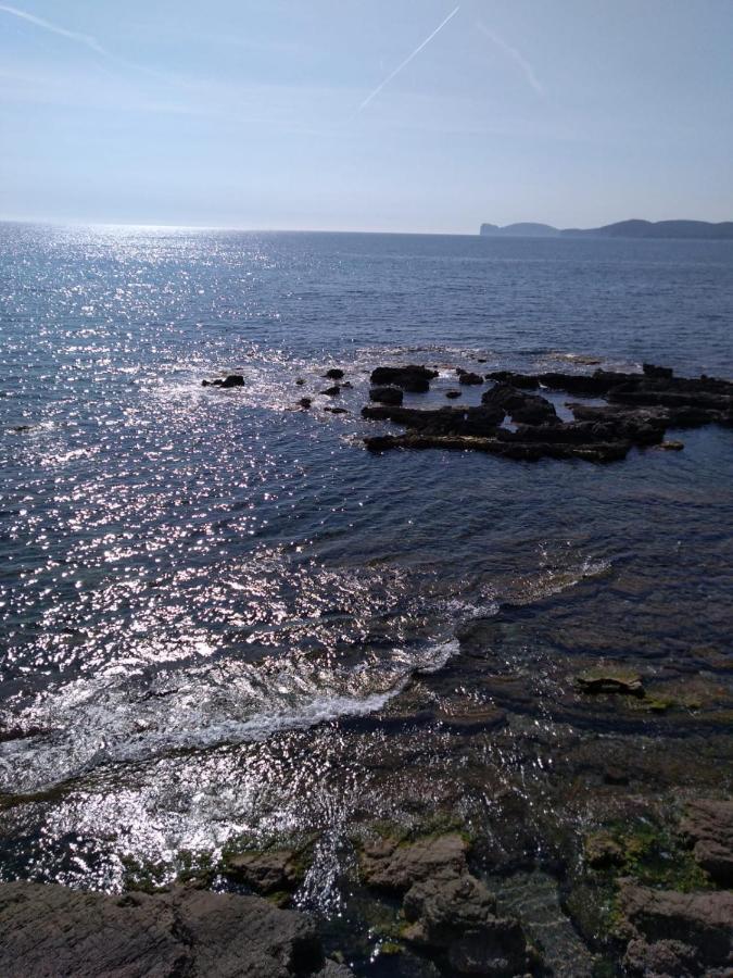 Piazza Ginnasio Affittacamere Alghero Esterno foto